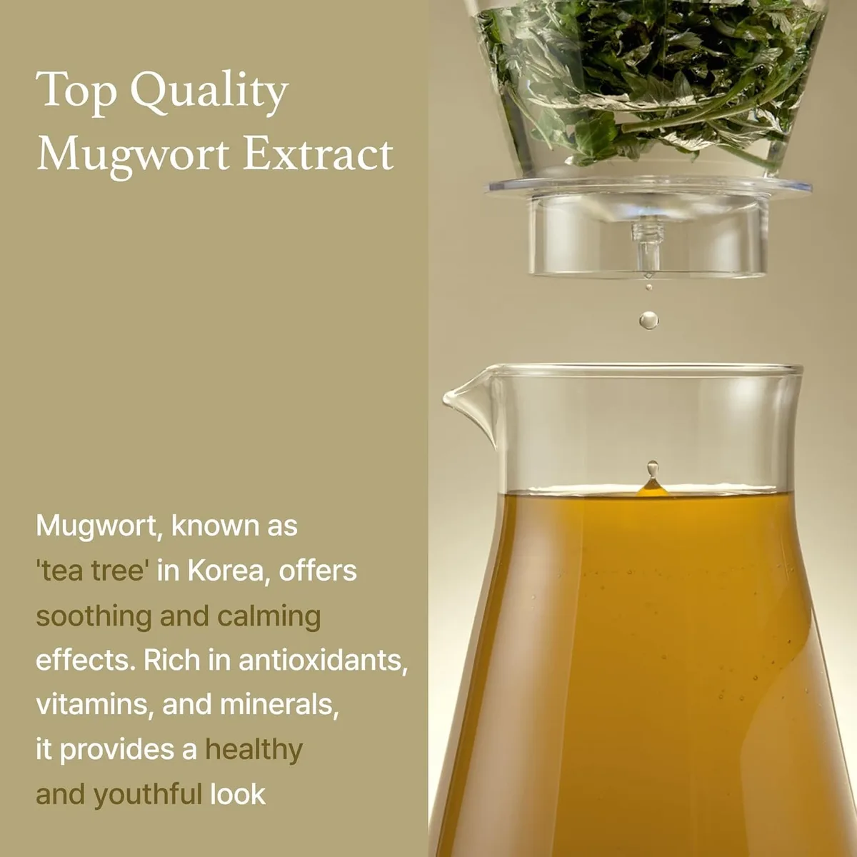 I'm From Mugwort Essence – صورة 3