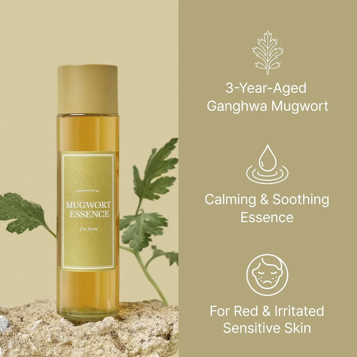 I'm From Mugwort Essence – صورة 4