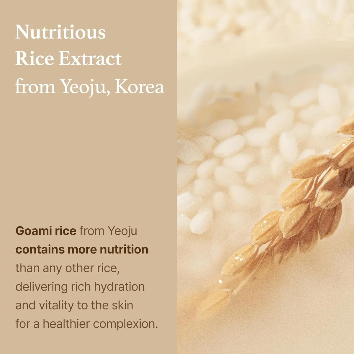 I'm from Rice Toner, Milky Toner for Glowing Skin – صورة 3