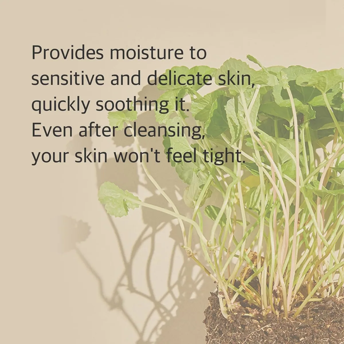 mixsoon Centella Cleansing Foam – صورة 4